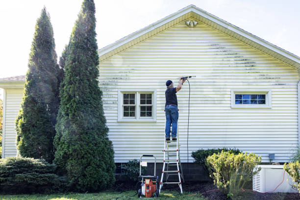 Best Roof Pressure Washing  in Madison, IL