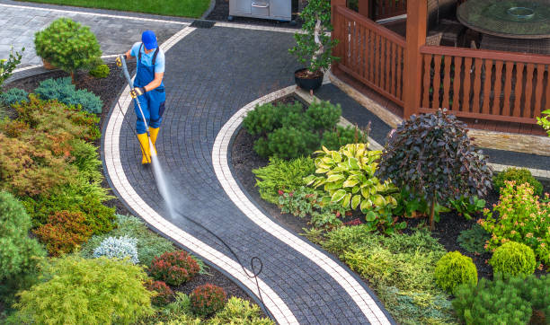 Best Residential Pressure Washing Services  in Madison, IL