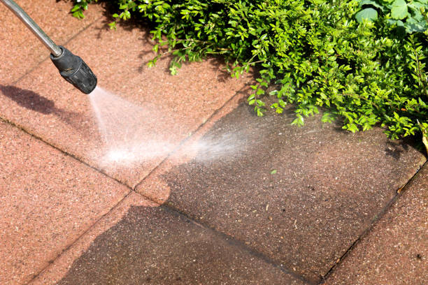 Best Roof Pressure Washing  in Madison, IL